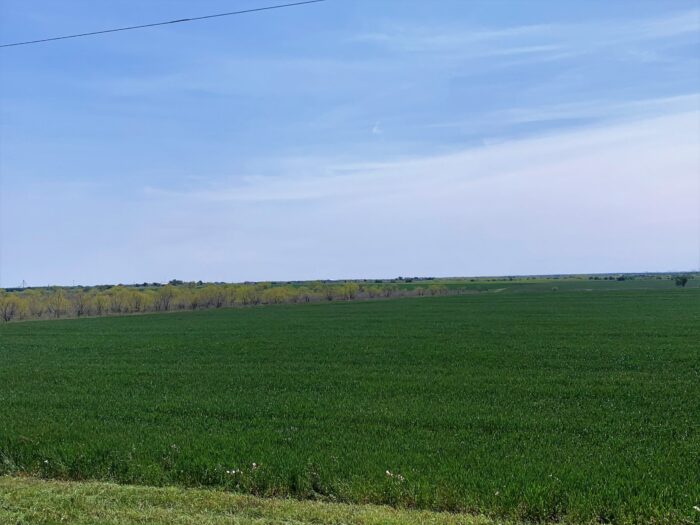 Bard 125 Dove Lease Near Ennis, TX - Image 6