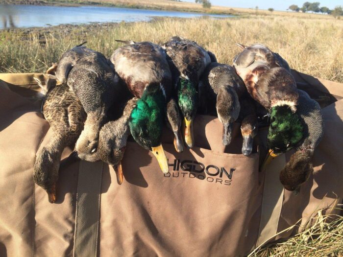 Guided North Texas Duck Hunt - Image 2