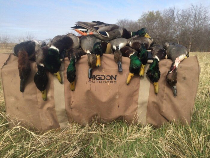 Guided North Texas Duck Hunt - Image 4