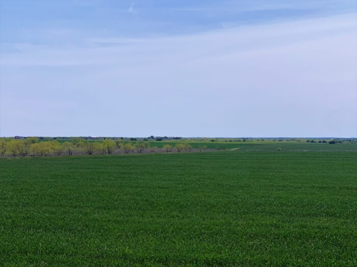 Bard 125 Dove Lease Near Ennis, TX - Image 4