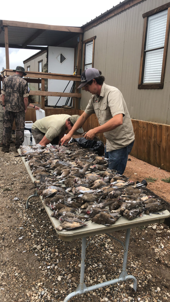 Corporate Dove Hunts - Image 13