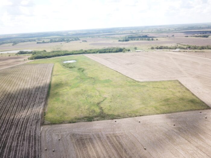 AV 154 Dove Lease North Texas - Image 3