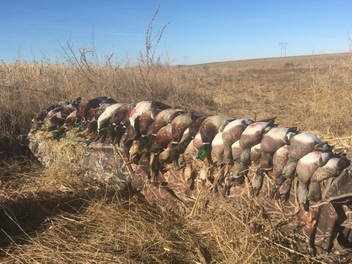 North Texas Guided Duck Hunt with meals and Lodging - Image 18