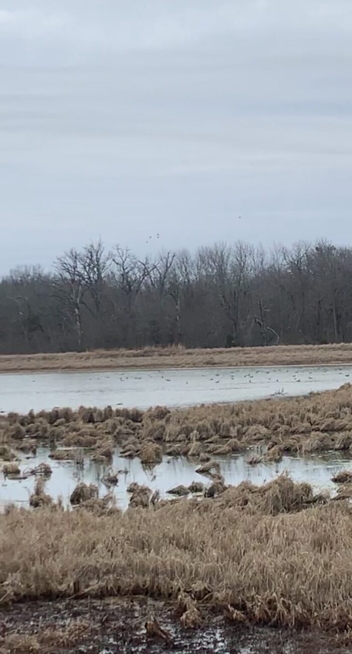 HG-104 Duck Lease in Fannin County - Image 5