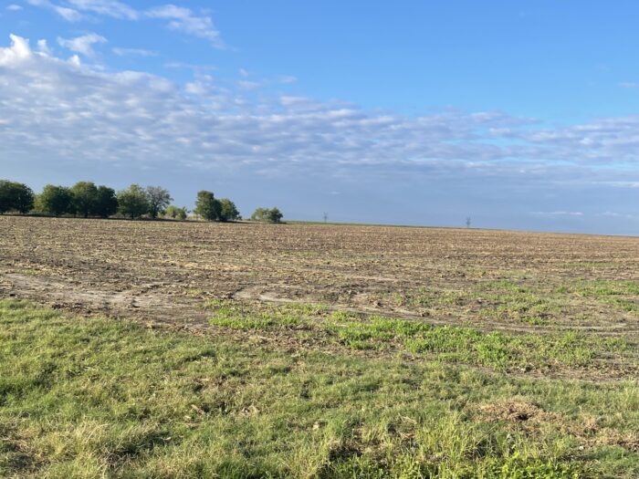 Bard 125 Dove Lease Near Ennis, TX - Image 7