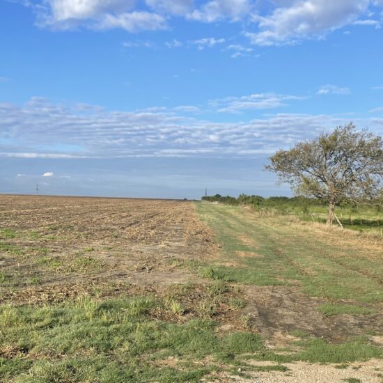 Bard 125 Dove Lease Near Ennis, TX