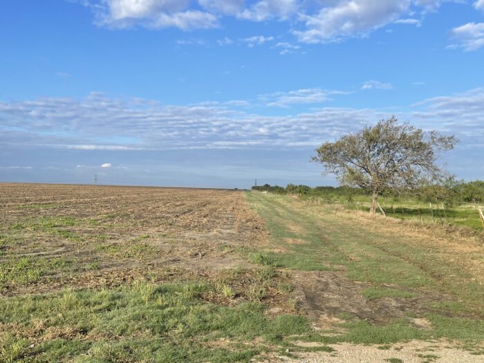 Bard 125 Dove Lease Near Ennis, TX