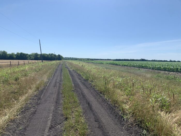 LAV 380- Dove Lease near Josephine, Tx Sep 1-Jan 1st - Image 3