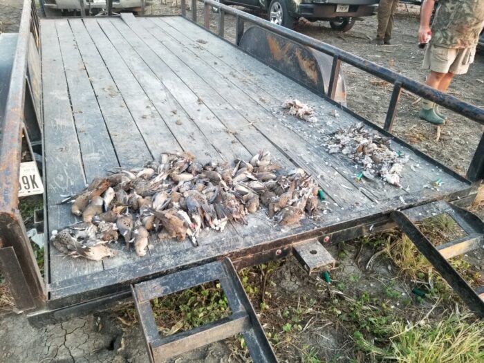 SOLD OUT !!!  Opening Weekend Dove Hunt and BBQ September 2nd-4th - Image 6