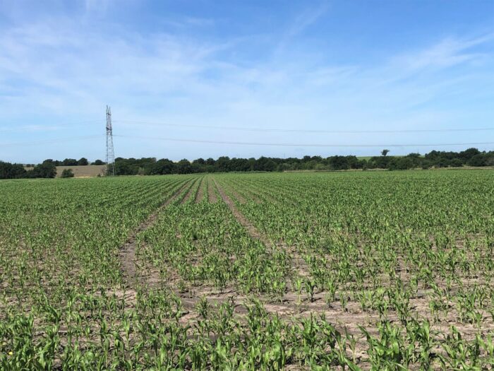 Bard 125 Dove Lease Near Ennis, TX - Image 2