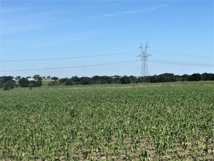 Bard 125 Dove Lease Near Ennis, TX - Image 3