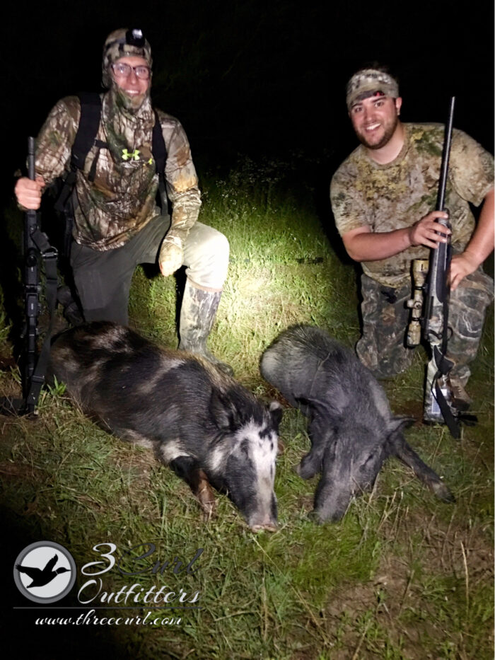 3 day 2 night North Texas Stand Hog Hunt - Image 9