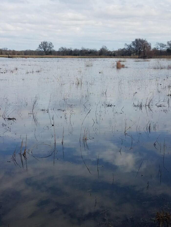 Cooper 98 Duck Lease Near Cooper, TX - Image 2