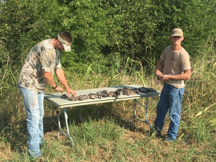 Corporate Dove Hunts - Image 11