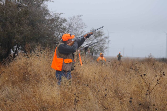 North Texas Quail Hunts