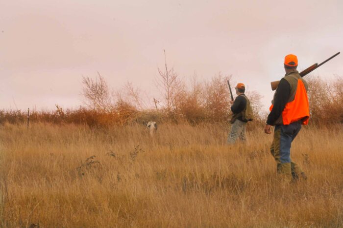 North Texas Quail Hunts - Image 22