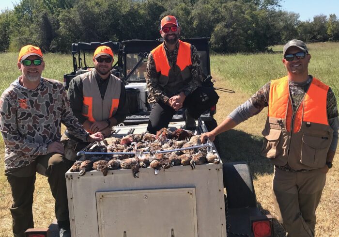 North Texas Quail Hunts - Image 7