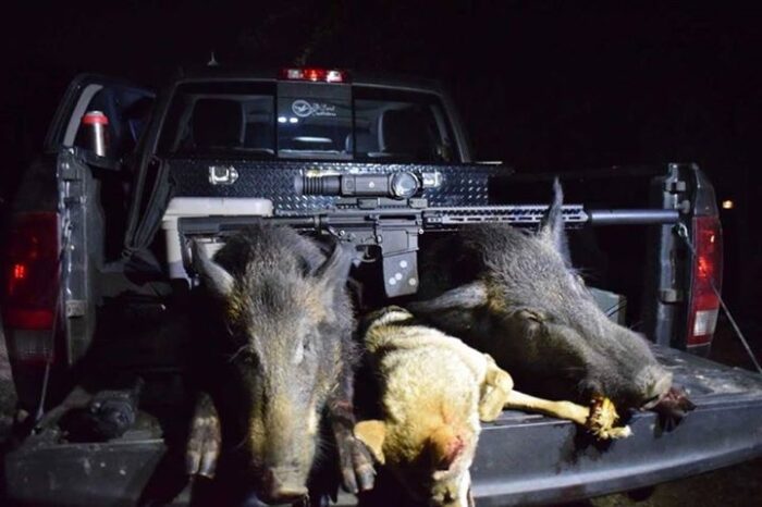 North Texas Thermal Hog Hunt - Image 16