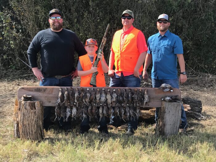 North Texas Quail Hunts - Image 9