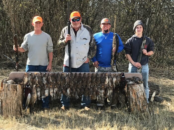 North Texas Quail Hunts - Image 12