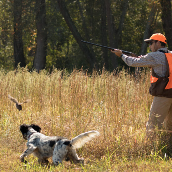 Group Quail Hunt with Lodging and meals