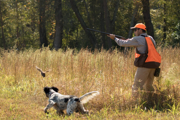 Group Quail Hunt with Lodging and meals