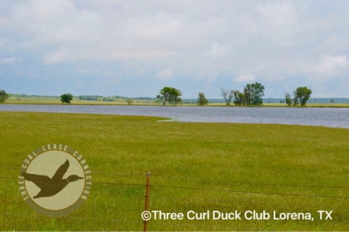 Three Curl Duck Club - Lorena Texas - Image 2