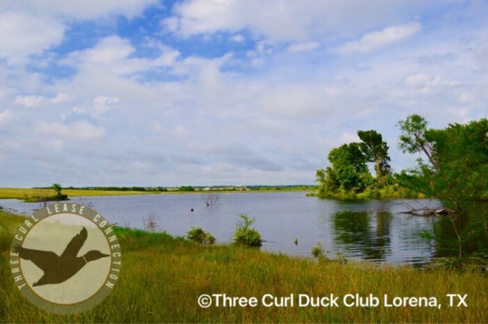 Three Curl Duck Club - Lorena Texas - Image 3